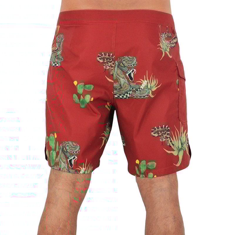 image_50f49ba7-ea98-4c92-965c-a8e81f3689c0