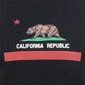 Camiseta Surf Alive California Republic Preta