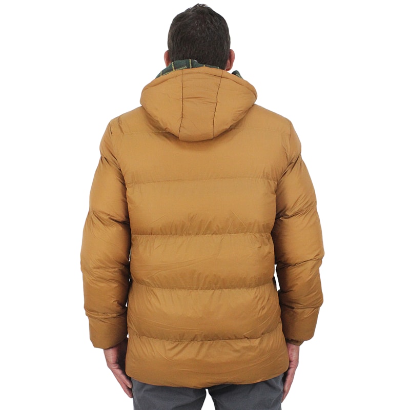 image_5c1c8dd6-c6c3-4488-96a4-e1b8a78eccff