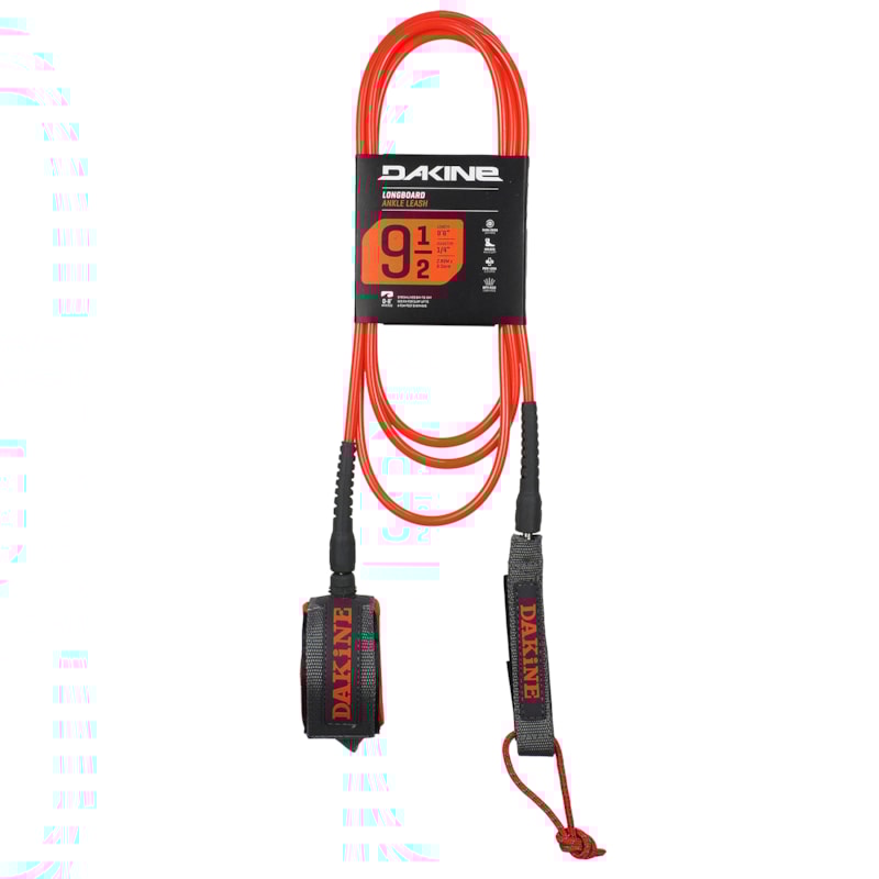 image_81c1d18f-e4d8-4692-acf2-dbe164797d70