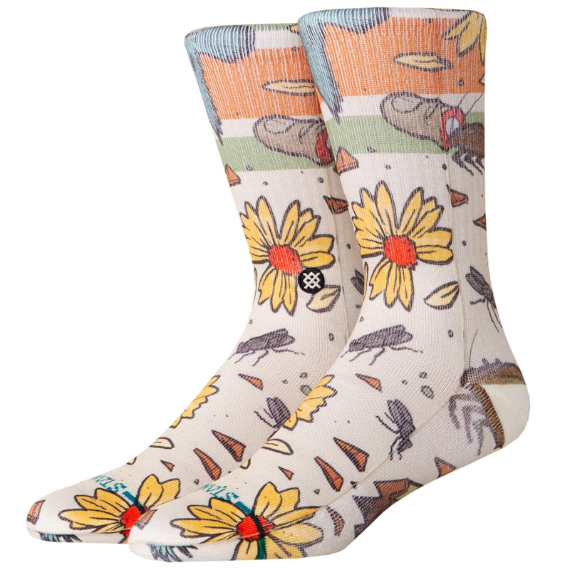 image_733f188d-188c-491b-b5df-e7b13523e132