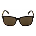 Óculos De Sol Evoke EVK 19 Black Demi Shine Gold Brown Total
