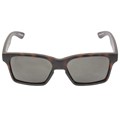 Óculos de Sol Evoke Thunder BR04 Turtle Grafiti Brown