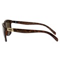 Óculos de Sol HB Dingo Havana Turtle Brown Lenses