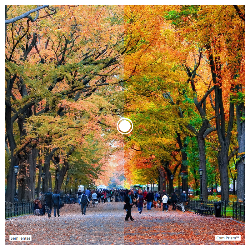 image_61793e4e-ced2-439a-9cf6-4230c7672fd1