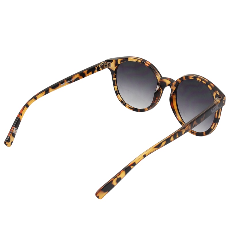 image_532f7c4a-afaf-440d-bacc-127ccff57faf