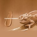 Protetor Solar Facial Chameleon Sun Mineral SPF 50+ Cammy Desert
