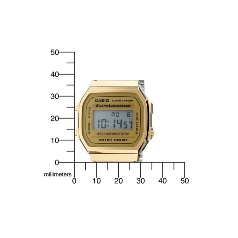 image_ac7c4d09-c057-4dd5-a4bf-afe1989b283f