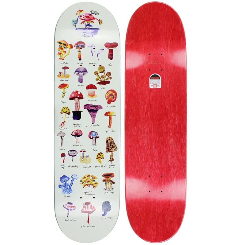 image_3f97812f-c1f8-4505-93bf-32c2c775c0d2