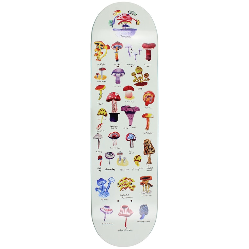 image_17aaf0d9-0194-4e3c-92c7-458450505fe9