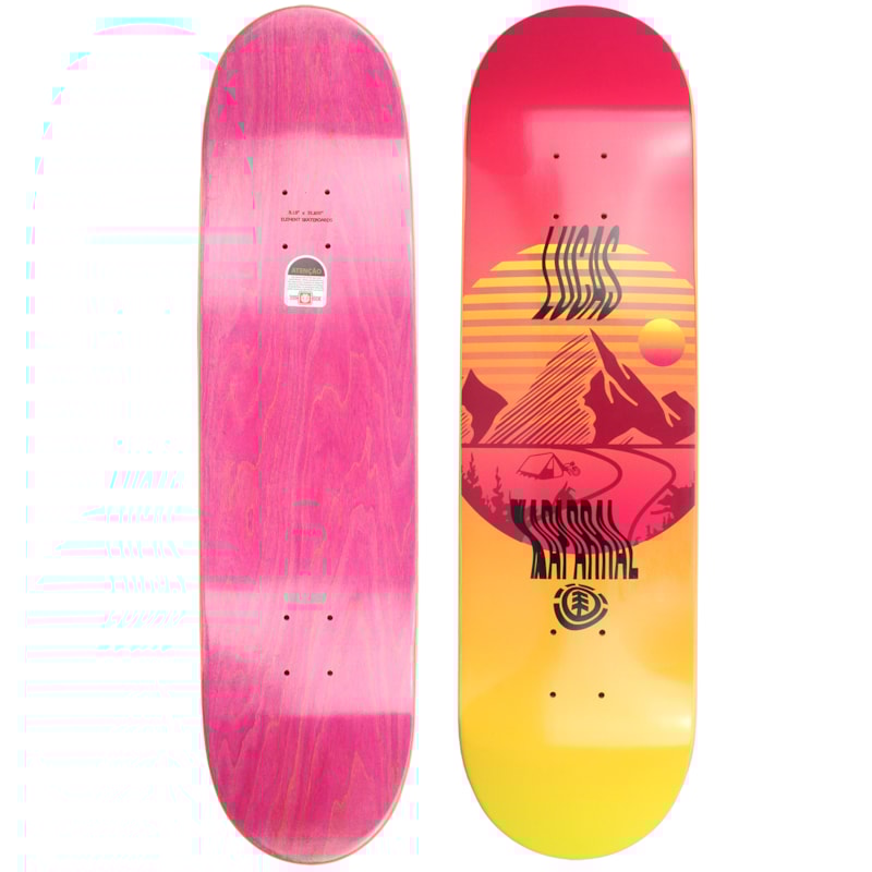 image_67ab8777-c49e-4091-a63a-e8a538b9216f