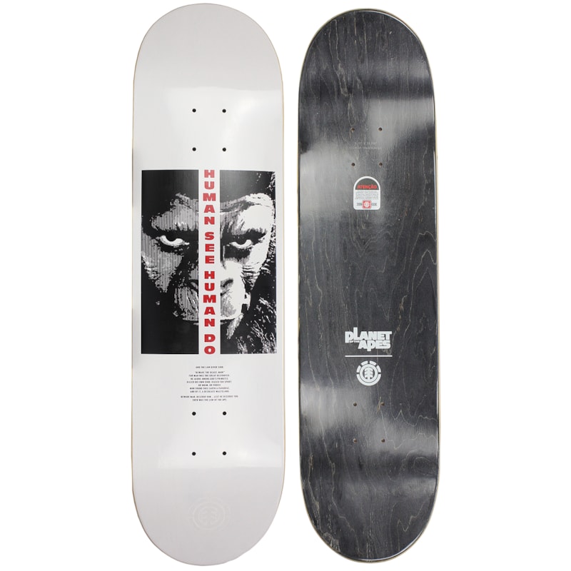 image_06dacbb2-0dfa-4f0b-8ff0-e692bdeee45c