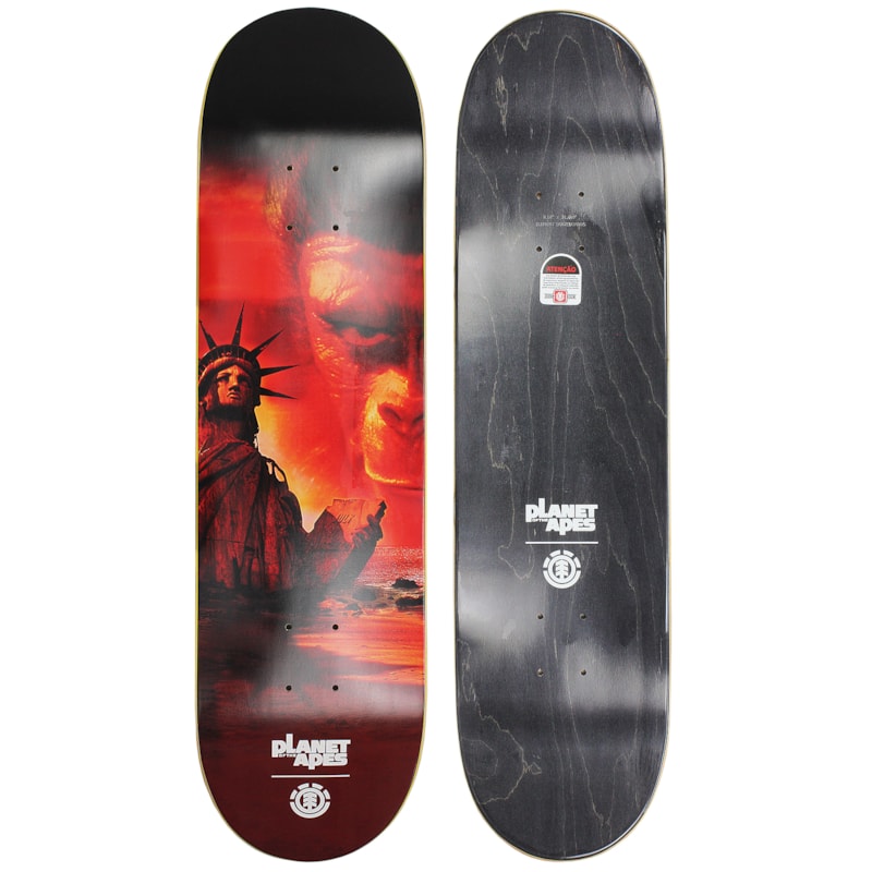 image_405e1855-716a-4d9c-9cb0-ae53f4c78226