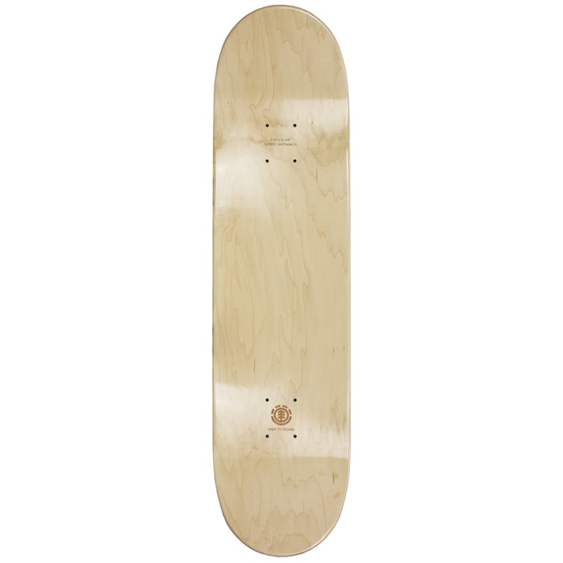 image_e7a3fcdb-0861-433d-b3ee-2b43882bcdd3