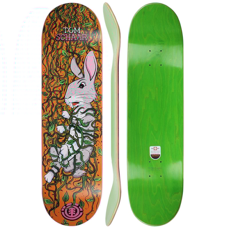 image_897f6a11-7ae8-42f8-af7f-6eb0f1af856b