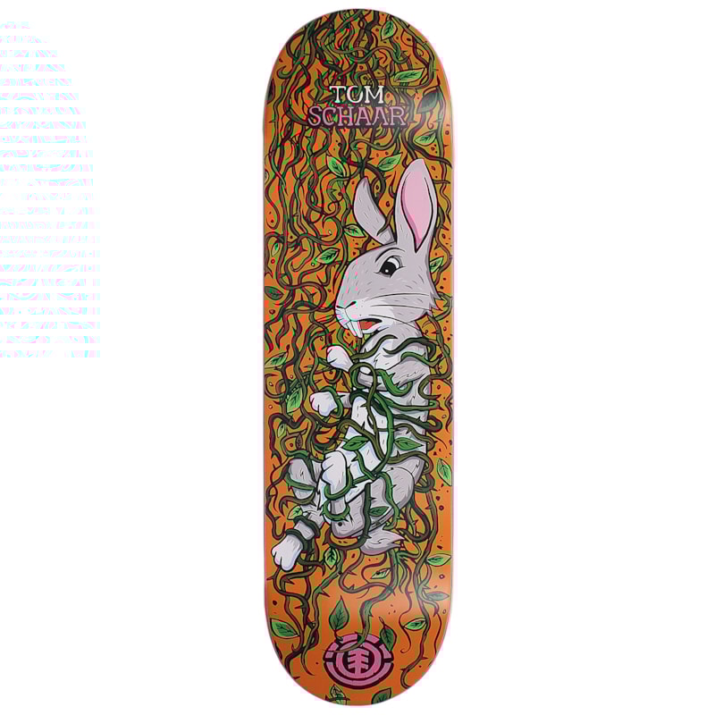 image_17940faa-e53b-4bd2-9718-31e808120422